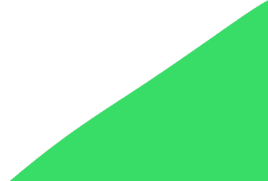 Shape 1 (14)